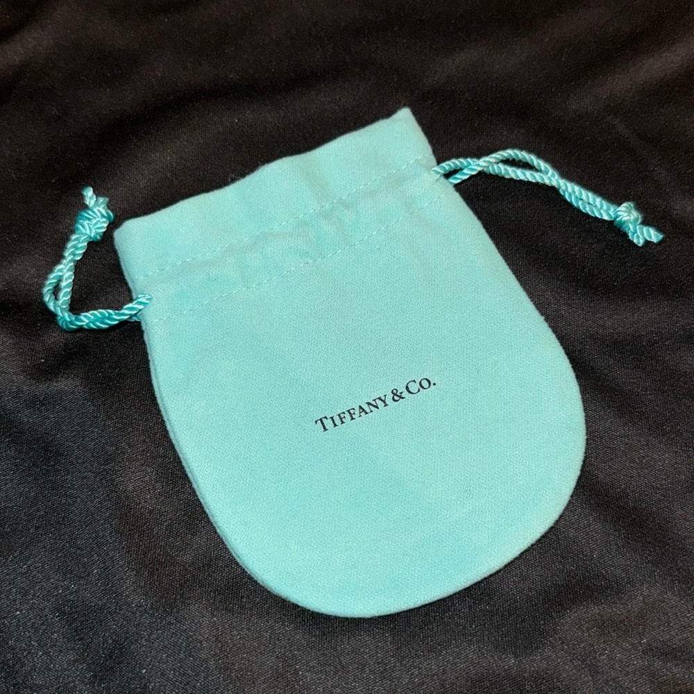 Tiffany & Co large dust bag